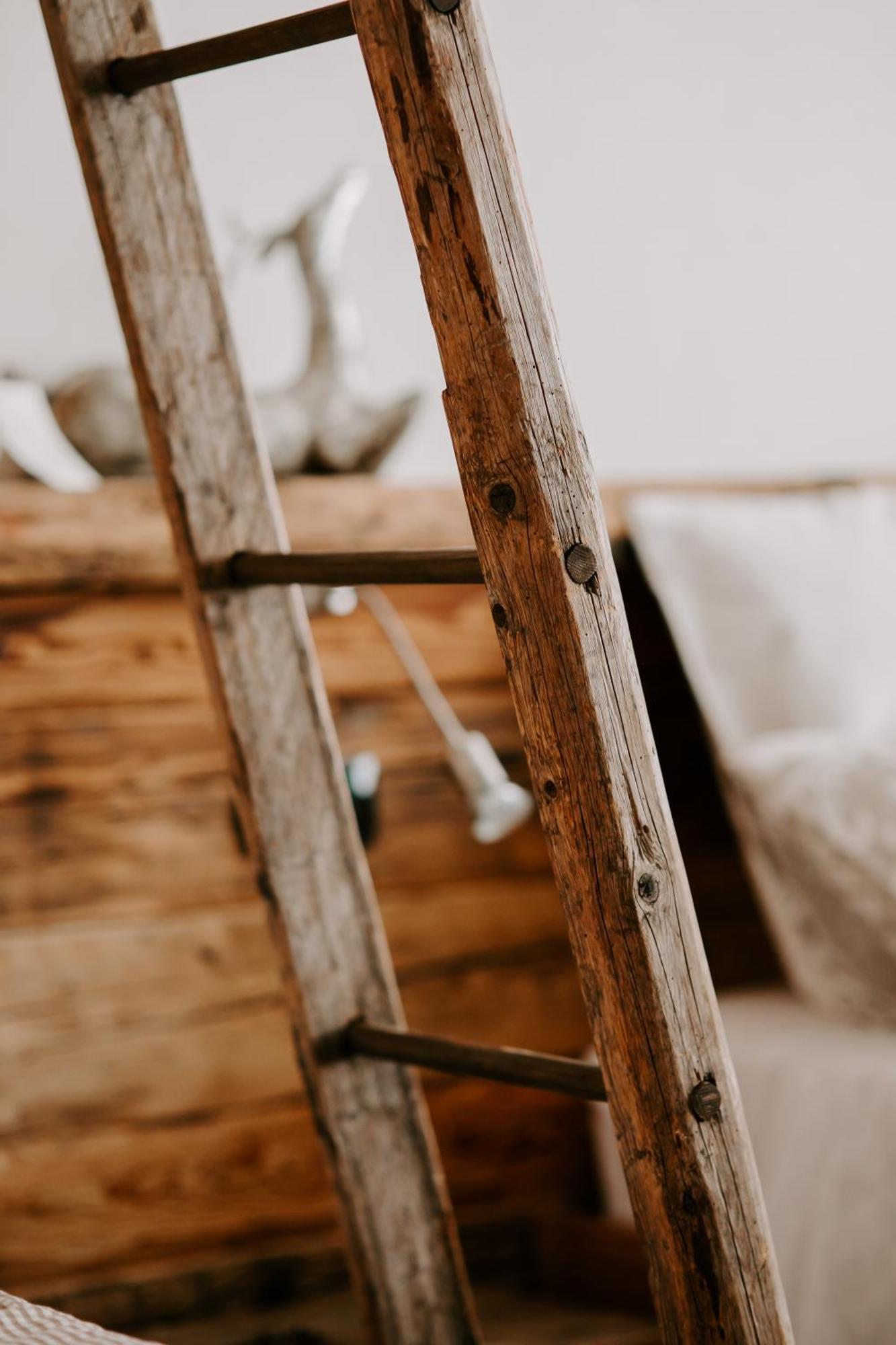 ドメッジェ・ディ・カドーレ Fra Rose E Mughi Bed & Breakfast エクステリア 写真